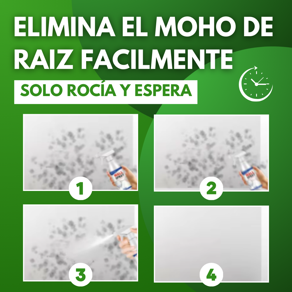 MohoOff® | EL UNICO PRODUCTO QUE RETIRA EL MOHO Y LOS HONGOS DE FORMA DURADERA Y SIN RESTREGAR